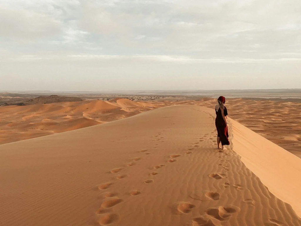 A traveller walking across open desert sand