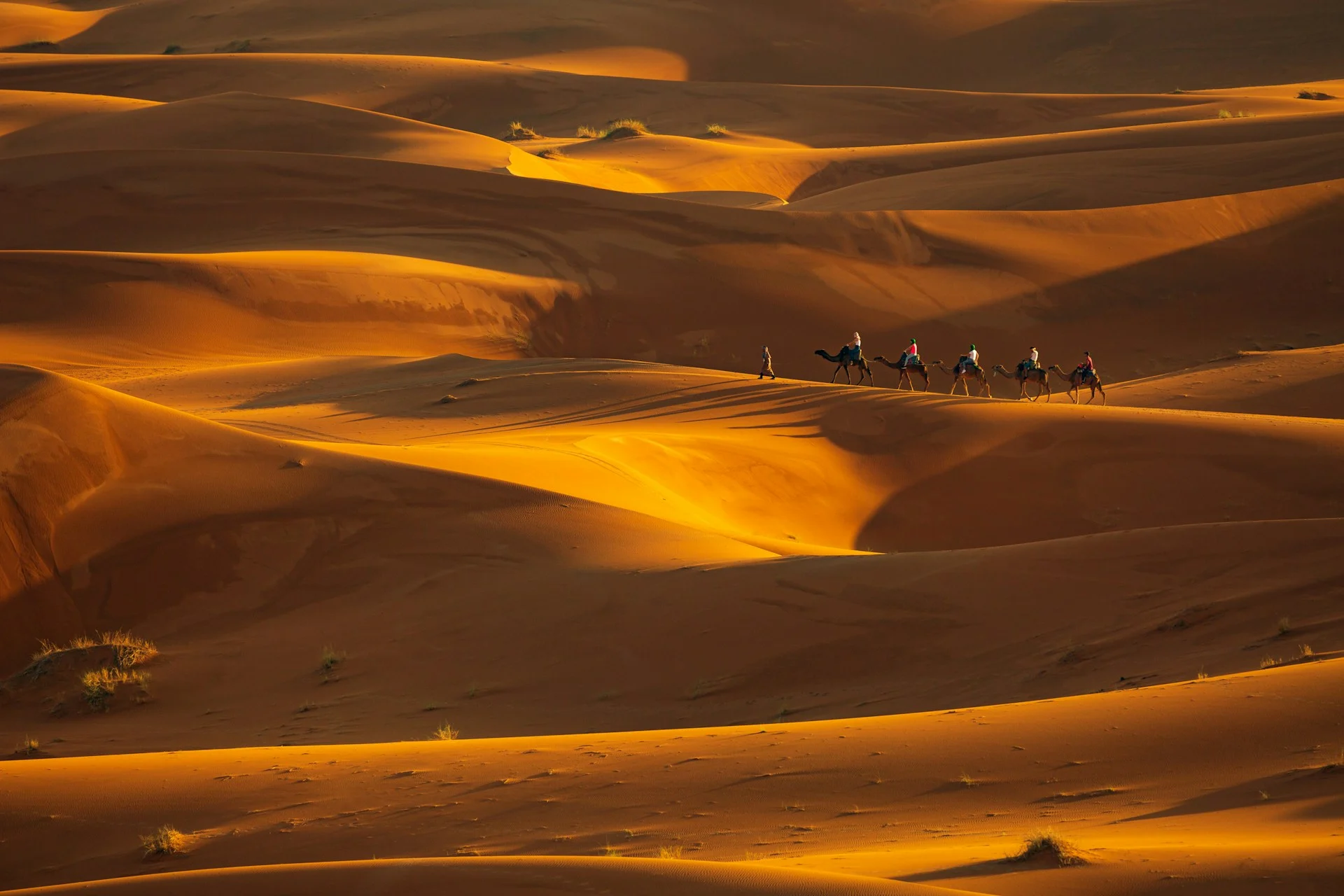 Golden Sahara dunes in Morocco